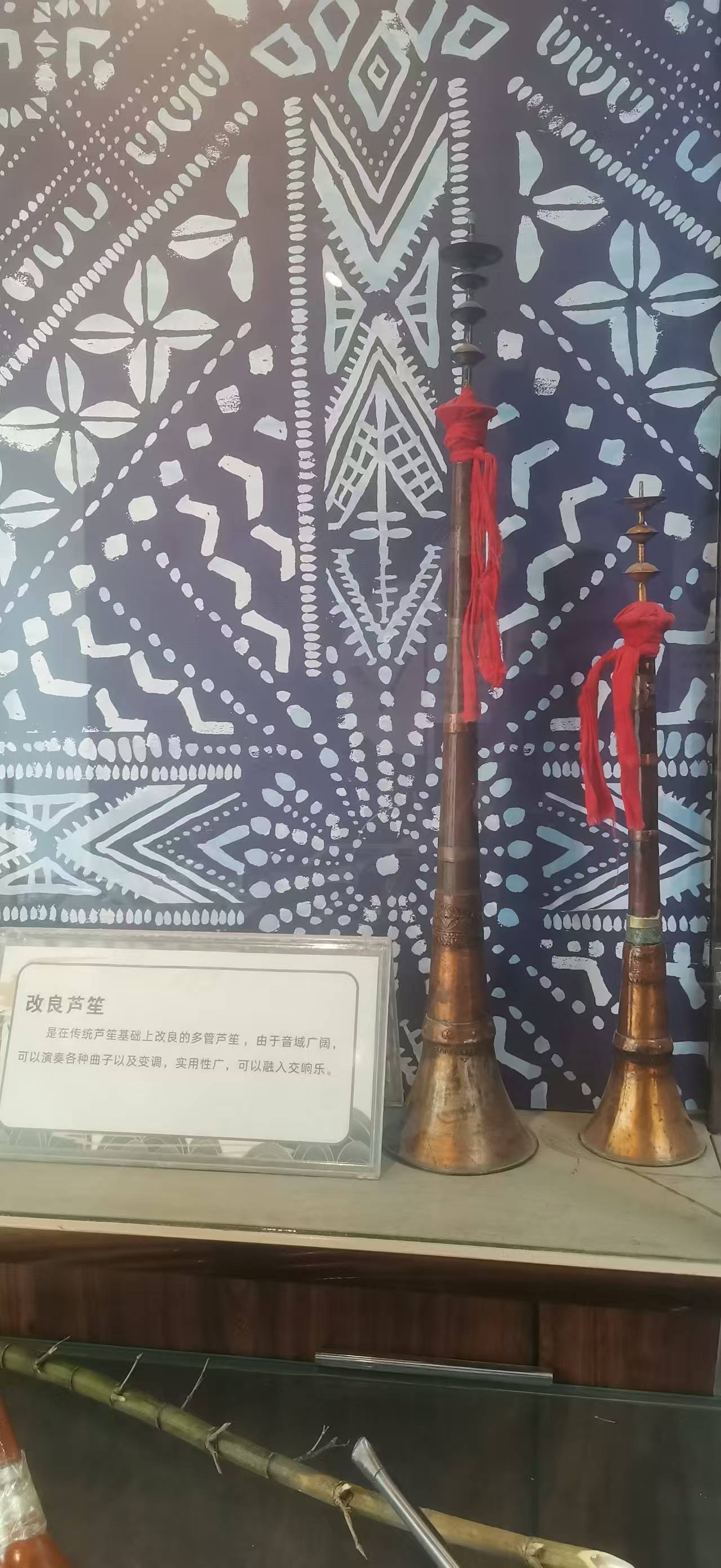 教学入门定制芦笙